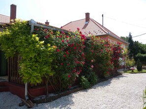 external view