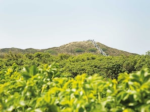 施設の敷地