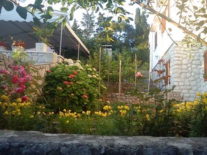 external view