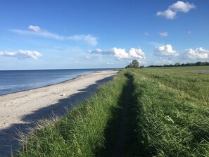 Ranta