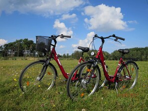 Räder zur kostenfreien Nutzung