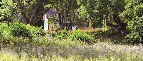 Terrain de l’hébergement 