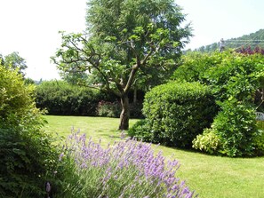 external view