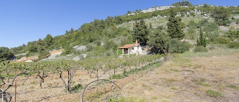 Enceinte de l’hébergement