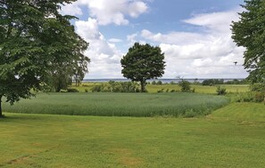 area