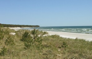area
