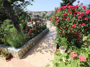 jardin