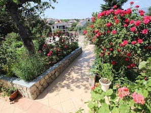 jardin