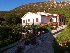 external view