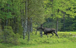 Övrigt