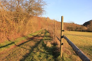 Wanderweg direkt am Haus