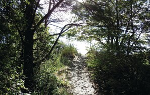 outside