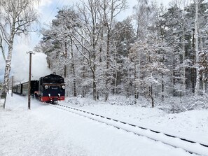 Rasender Roland im Winter