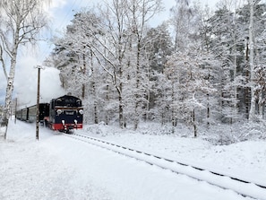 Rasender Roland im Winter