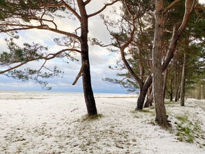 Baaber Strand mit Schneedecke