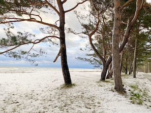 Baaber Strand mit Schneedecke