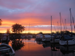 Marina