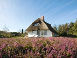 Exklusives Reetdachhaus