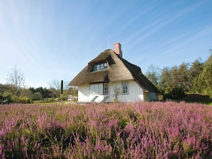 Exklusives Reetdachhaus