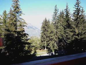 Summer view