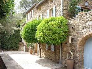 Front view