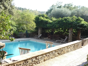 Swimming pool view