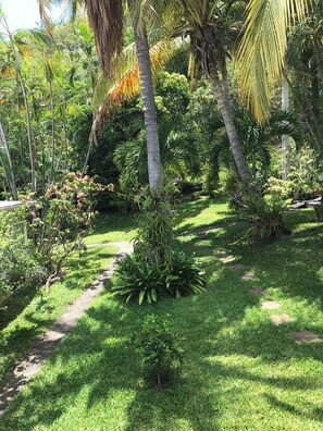Garden view