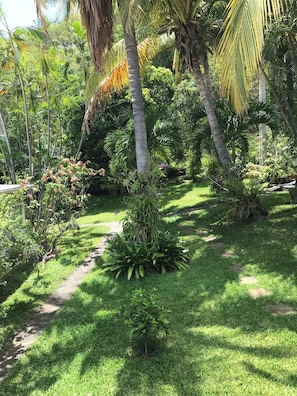 Vue sur jardin