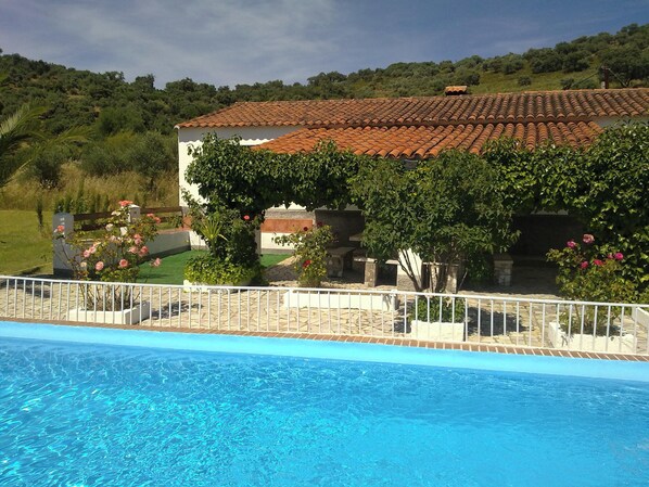 Swimming pool view