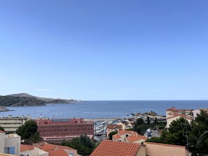 Beach/ocean view