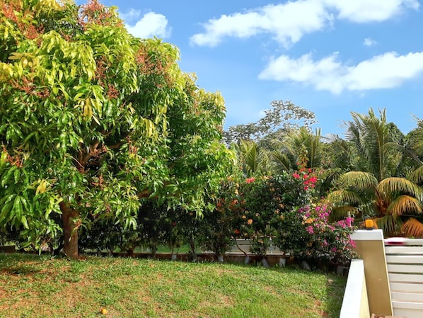 Jardin
