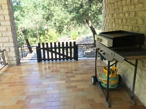 La terrasse  - Plancha Gaz