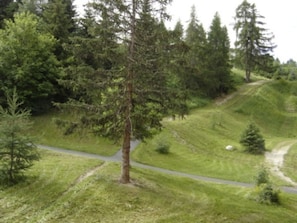 Summer view