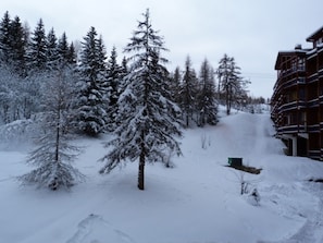 Winter view