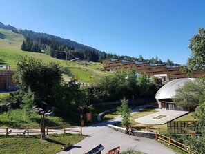 Summer view