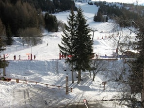 Winter view