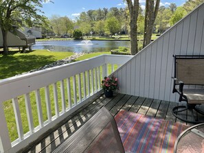 Great view of the Swan Pond