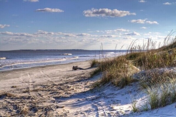 Playa