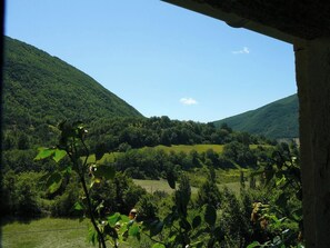 Areal view