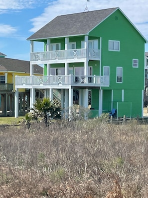 A Salty Lime with new exterior paint! 🍈🍈🍈