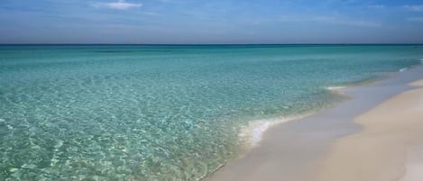 Awesome Pristine Gulf of Mexico