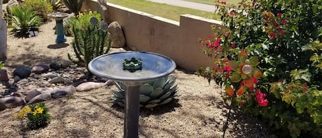 View from patio to golf course