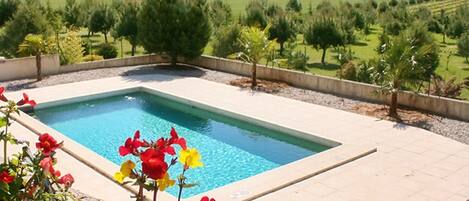 Swimming pool view