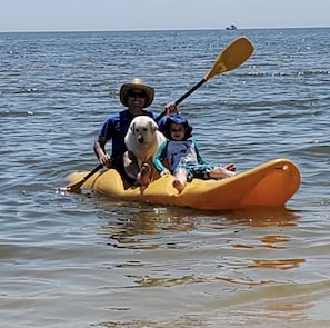 Guest Family using the yellow “double” kayak to give a ride to child and pet dog