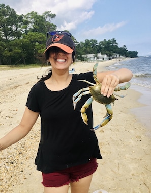 Catching crabs from Bay shoreline (while standing below high tide watermark)