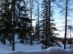 Sneeuw- en skisporten