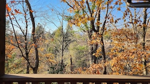 Wooded Surroundings