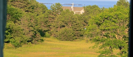 View from Ocean Bedroom On Your 20 Acre Old Estate Property