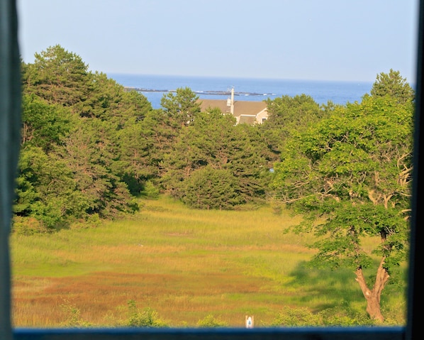 View from Ocean Bedroom On Your 20 Acre Old Estate Property