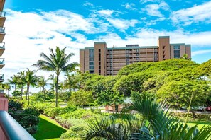 Aqua marine backdrop and cool ocean breezes HKK-234